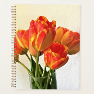 Banja Luka Tulpen Planer