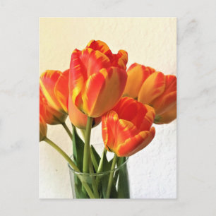 Banja Luka Tulpen Postkarte