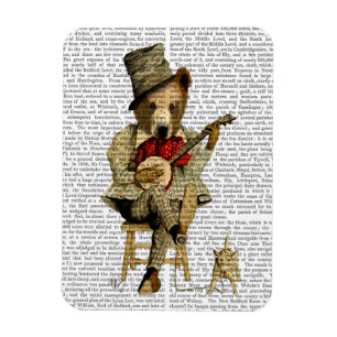 Banjo-Bär Magnet