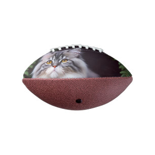 Banjo der Perser: Ein flauschiges Grau und Weiße F Football