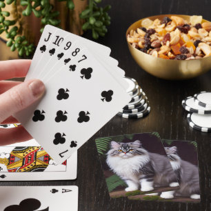 Banjo der Perser: Ein flauschiges Grau und Weiße F Spielkarten