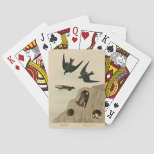 Bank, Violetgrüne Schwalben, Audubon Birds Amerika Spielkarten