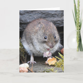 Bank vole scotland card karte
