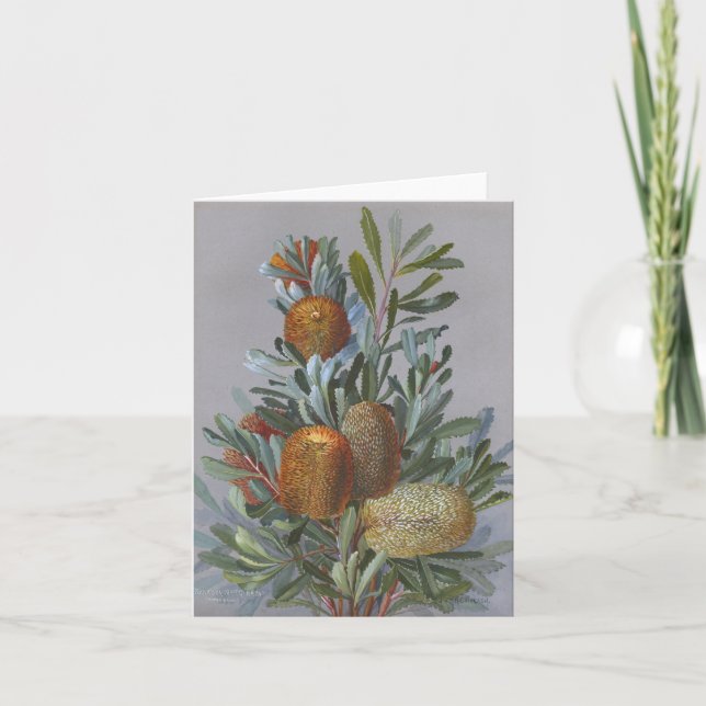 Banksia Australische Wildblume Watercolor Dankeskarte (Vorderseite)