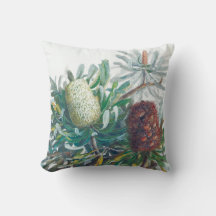 Banksia-Blume | Ellis Rowan 1782