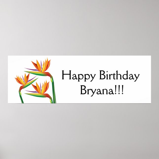 Banner für tropisches Party Poster (Vorne)