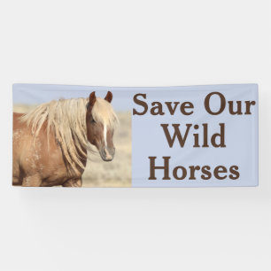 Banner für unsere Wilden Pferde gerettet