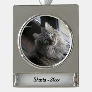  Banner-Ornament SILBER
