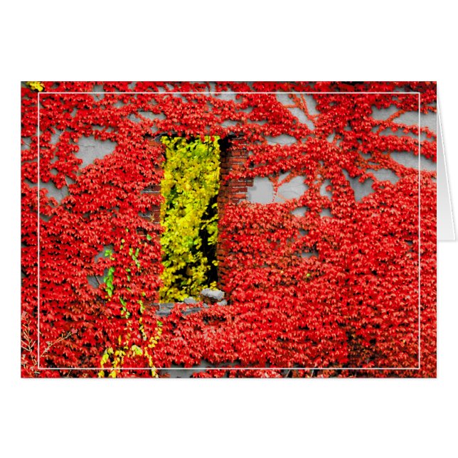 Bannerman-Fenster (Vorderseite (Horizontal))