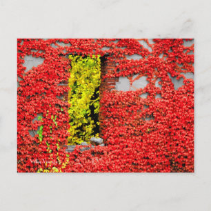 Bannerman-Fenster Postkarte