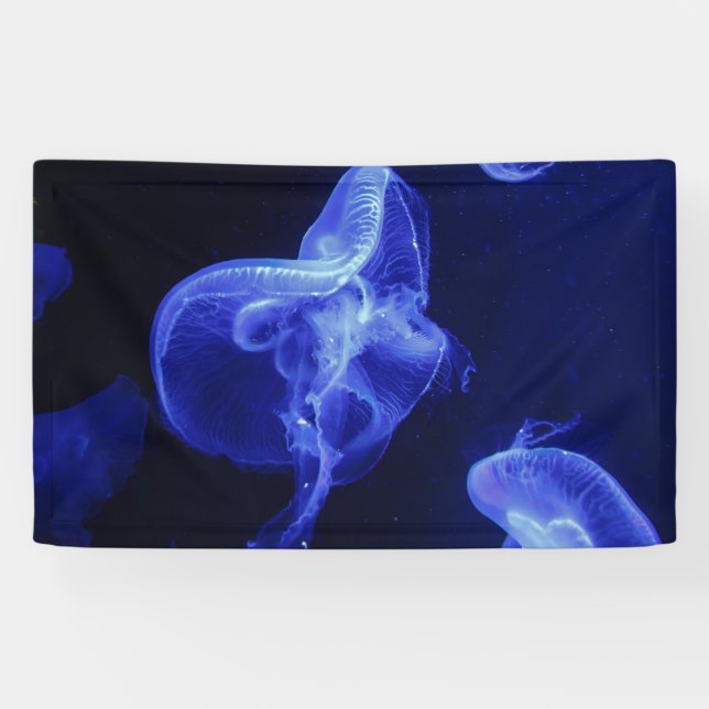 Bannière 3' x 5' (Horizontal)