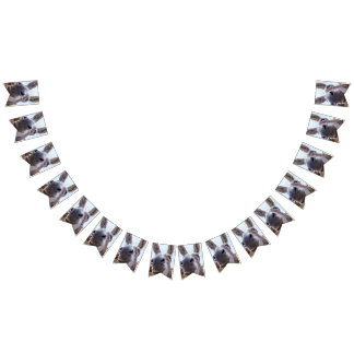 Bannière À Fanions Âne souriant gris comique