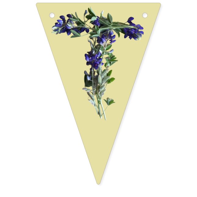 Bannière À Fanions Bluebonnets du Texas | Texas Pride (Deuxième drapeau)