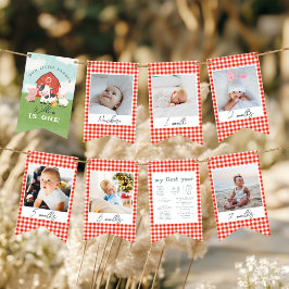 Bannière À Fanions Boys Cute Farm 1st Birthday Milestone Photo