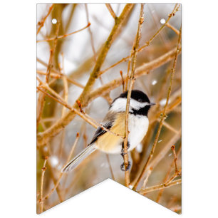 Bannière À Fanions Chickadee au plafond noir - Photo originale