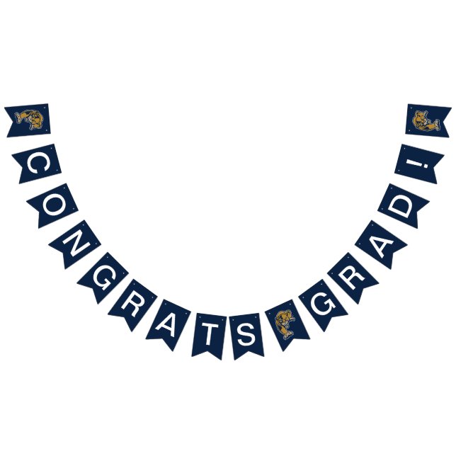 Bannière À Fanions Diplôme de la FIU Panthers (Tout)