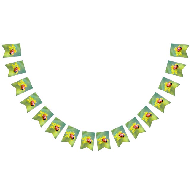 Bannière À Fanions femme au sommet (Tout)