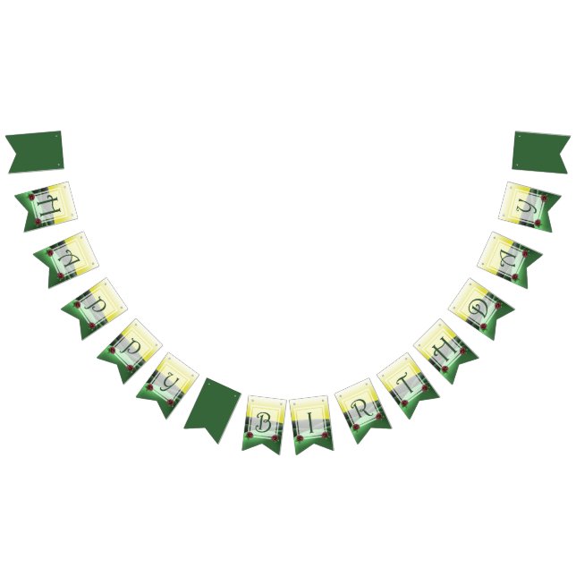 Bannière À Fanions Fête d'anniversaire verte et jaune (Tout)