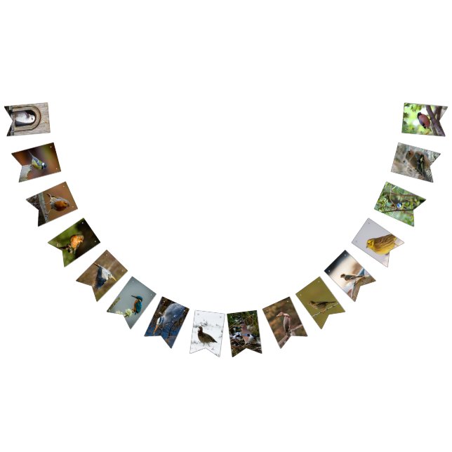 Bannière À Fanions Les Amoureux des oiseaux (Tout)