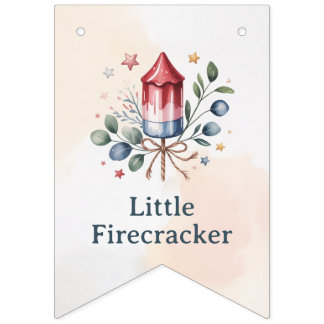 Bannière À Fanions Petite Fête Patriotique Aquarelle Bébé Showe