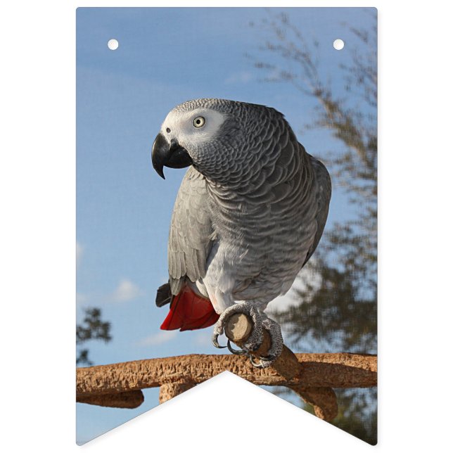 Bannière À Fanions Superbe perroquet gris africain (Premier drapeau)