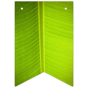 Bannière À Fanions Thème Tropical. Feuilles de bananes.