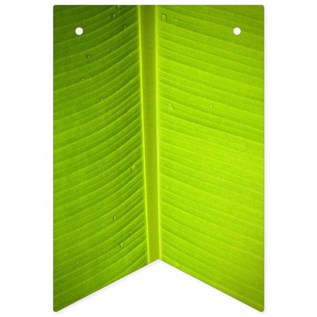 Bannière À Fanions Thème Tropical. Feuilles de bananes. (Premier drapeau)