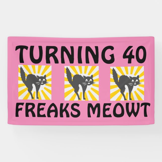 BANNIÈRE CHAT DE FUNNY 40E ANNIVERSAIRE (Horizontal)