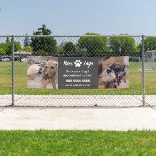 Bannière commerciale pour animaux de compagnie noi