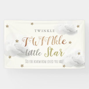 Bannière de Baby shower gris Little Star TWINkle