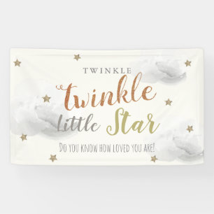 Bannière de Baby shower gris minuscule étoile Twin
