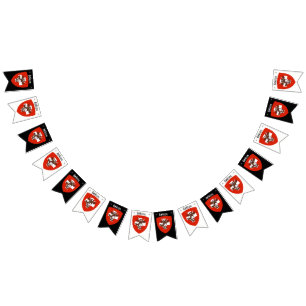 Bannière de Bunting Suisse Party