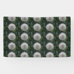 Bannière de fleurs de pandelion