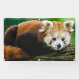 Bannière de PANDA ROUGE AVEC des CANONS ISOLANTS
