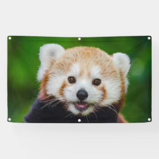 Bannière de PANDA ROUGE AVEC des CANONS ISOLANTS
