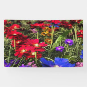 Bannière de printemps Iridescente