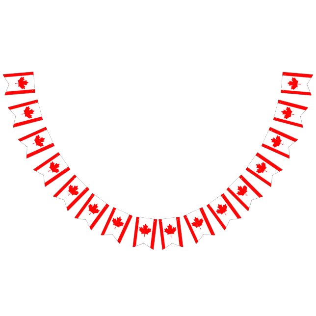 Bannière drapeau canadien (Tout)