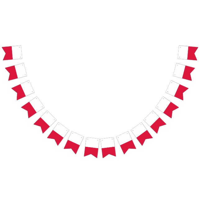 Bannière drapeau polonais (Tout)