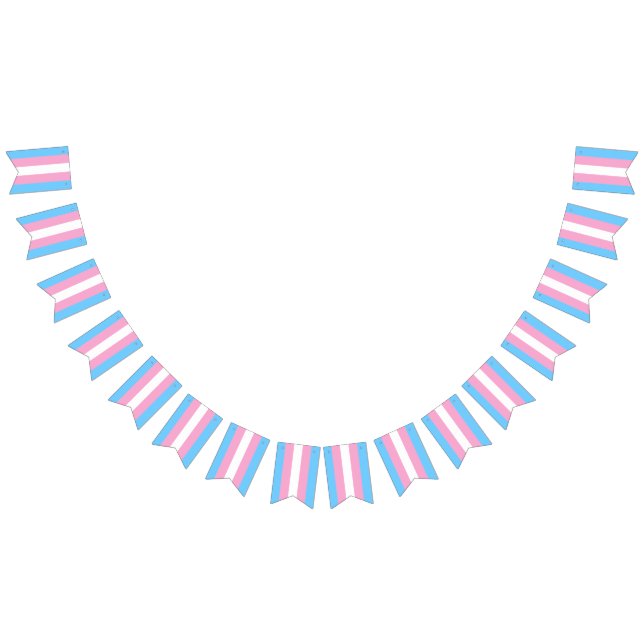 Bannière Drapeau Transgenre Parti LGBT (Tout)