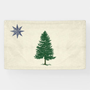 Bannière extérieure du drapeau du Maine 1901 - Sty