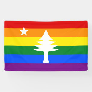 Bannière extérieure du Maine Flag 1901 - Édition A
