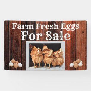 Bannière OEufs Fraîches À Vendre