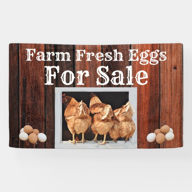 Bannière OEufs Fraîches À Vendre (Horizontal)