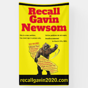 Bannière recallgavin2020 verticale 3ft x 5ft