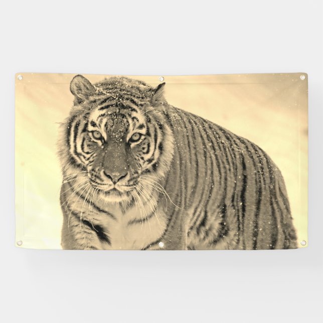Bannière Tiger (Horizontal)