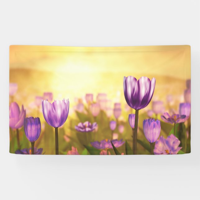 Bannière violet jubilé (Horizontal)