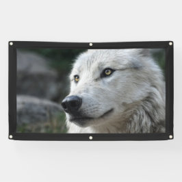 Bannière WOLF