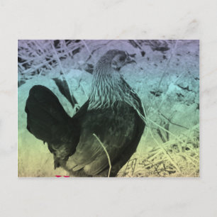 Bantam Hen Oaster Feiertagspostkarte