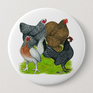 Bantam Hen Quarttet Button