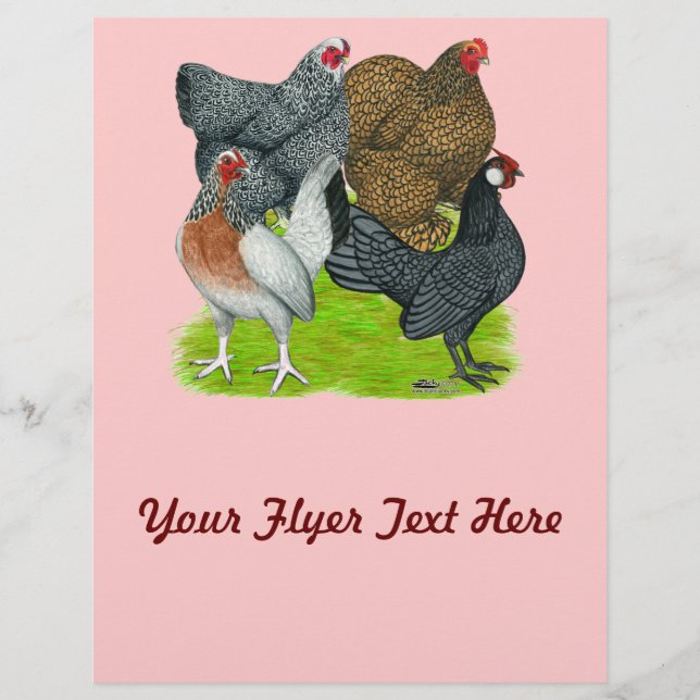 Bantam Hen Quarttet Flyer (Vorne)